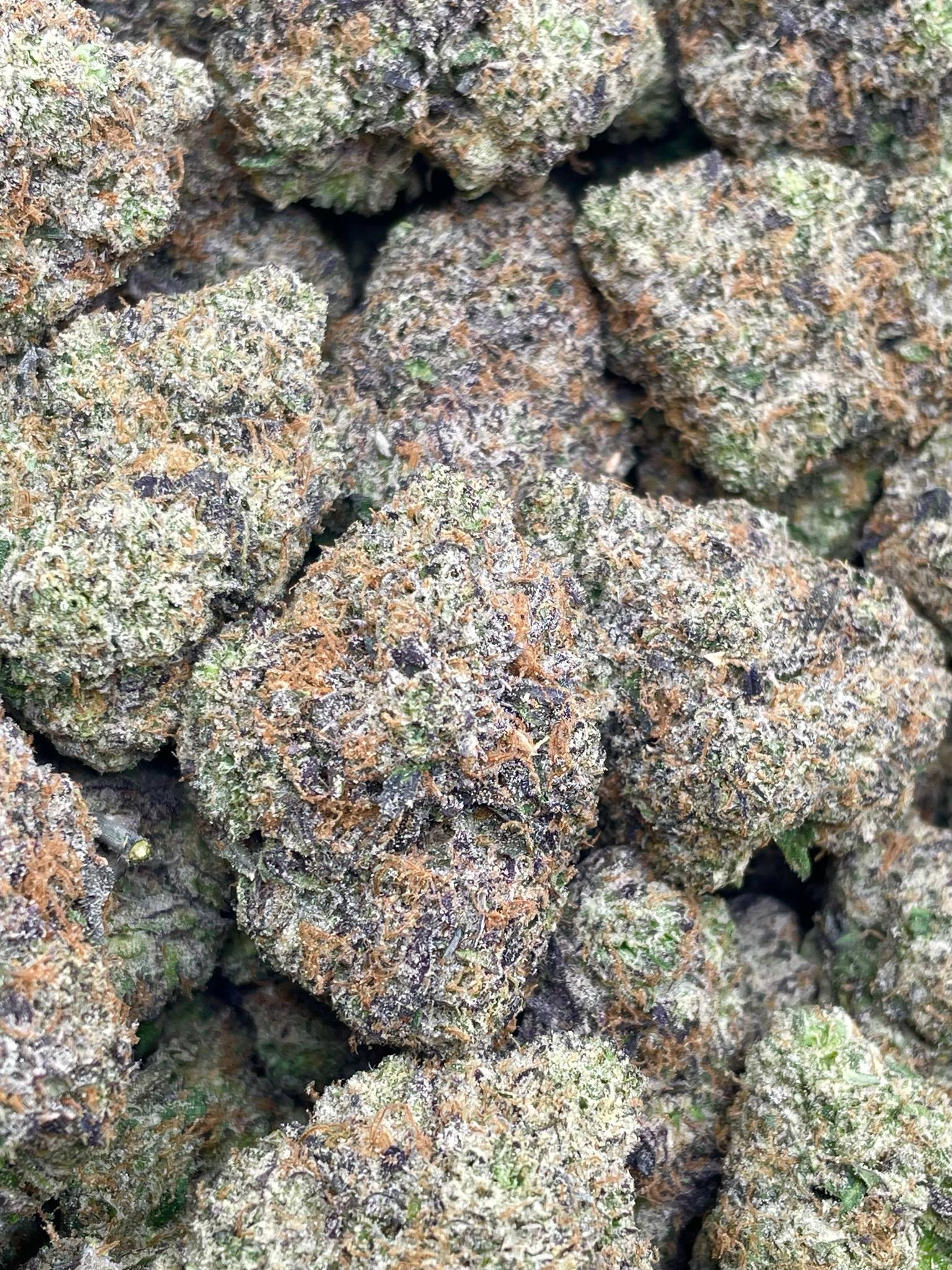 Animal Sherbet Exotic Indoor detail view 2