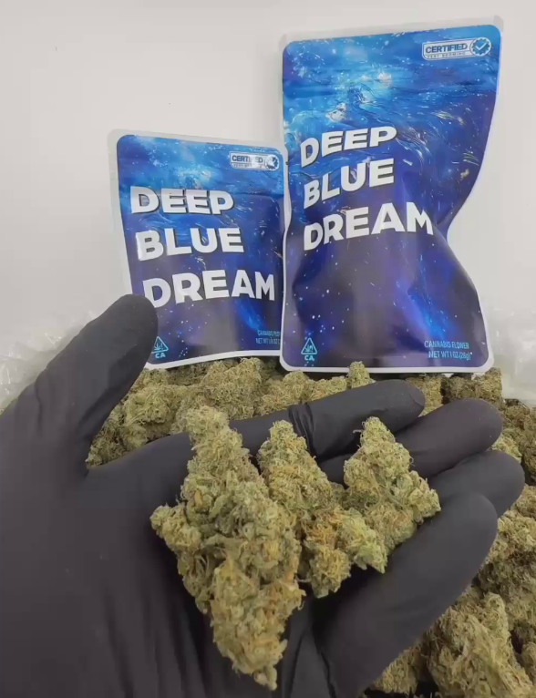 Deep Blue Dream