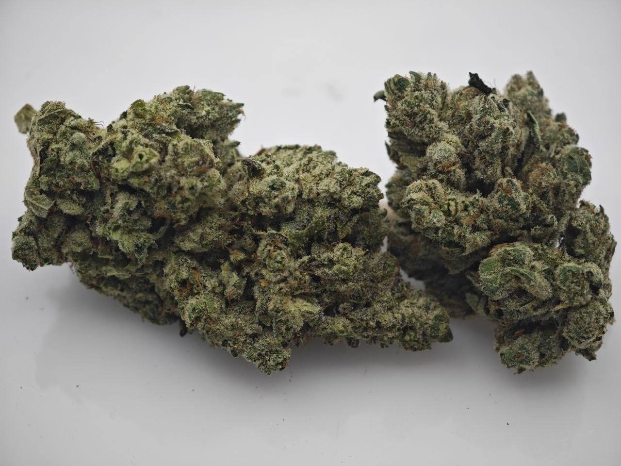 GG 4