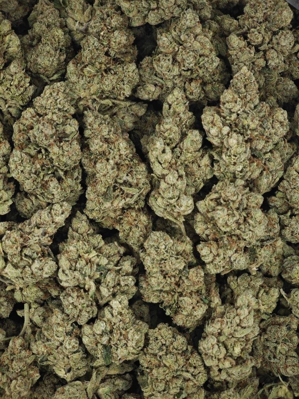 Knockout OG