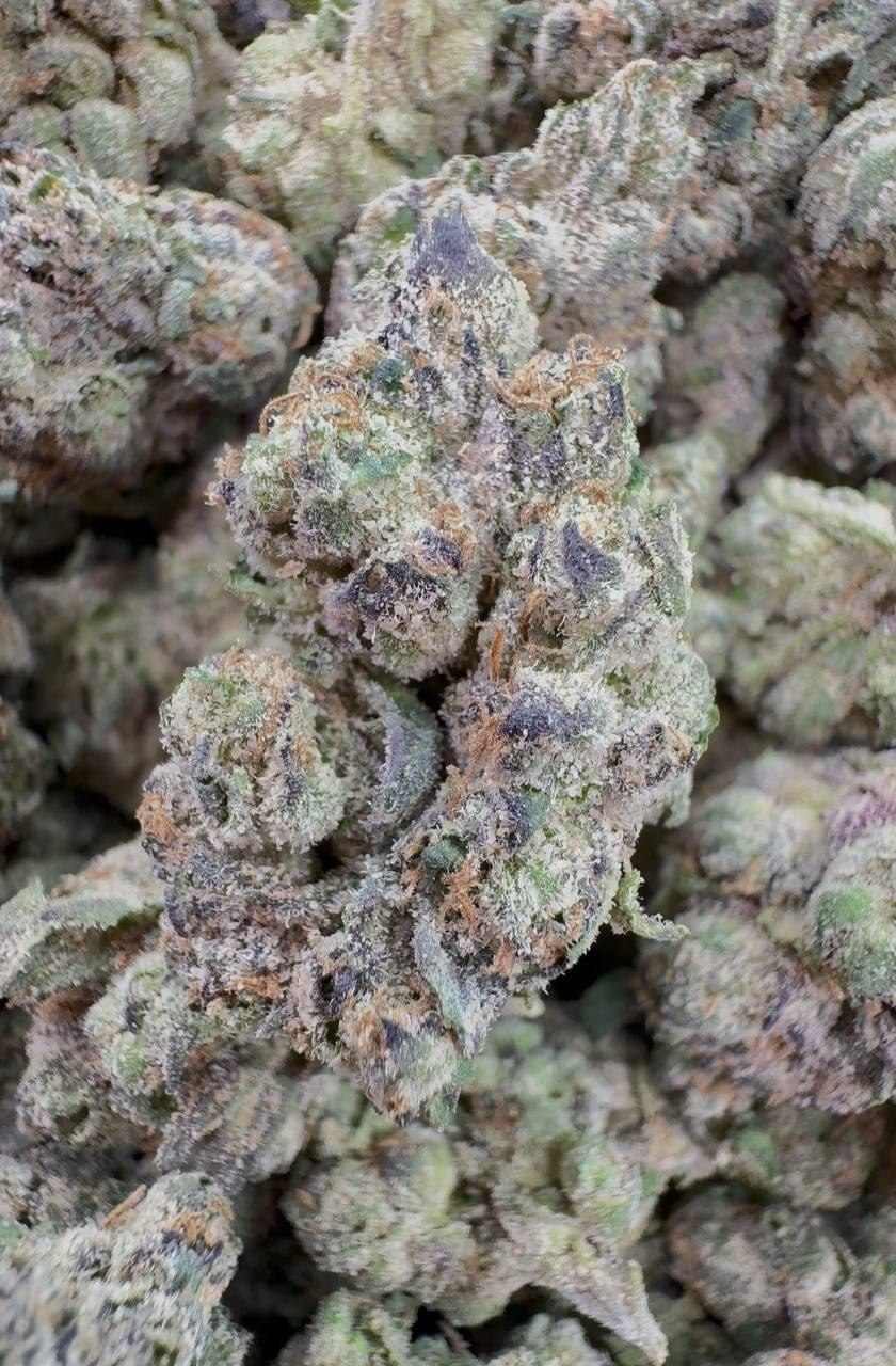 Lucky Charms