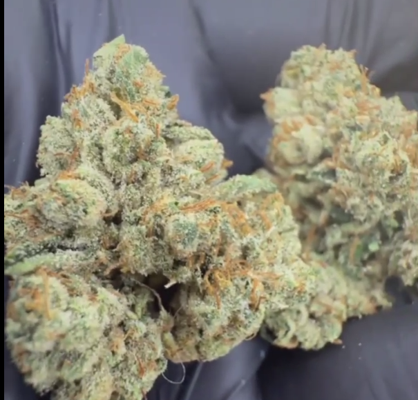 OG Kush