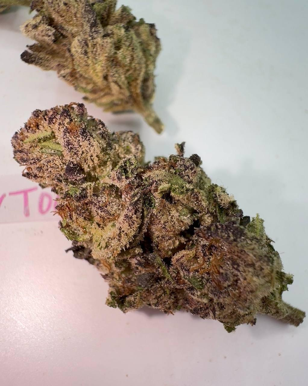 Sour Toad detail view 3