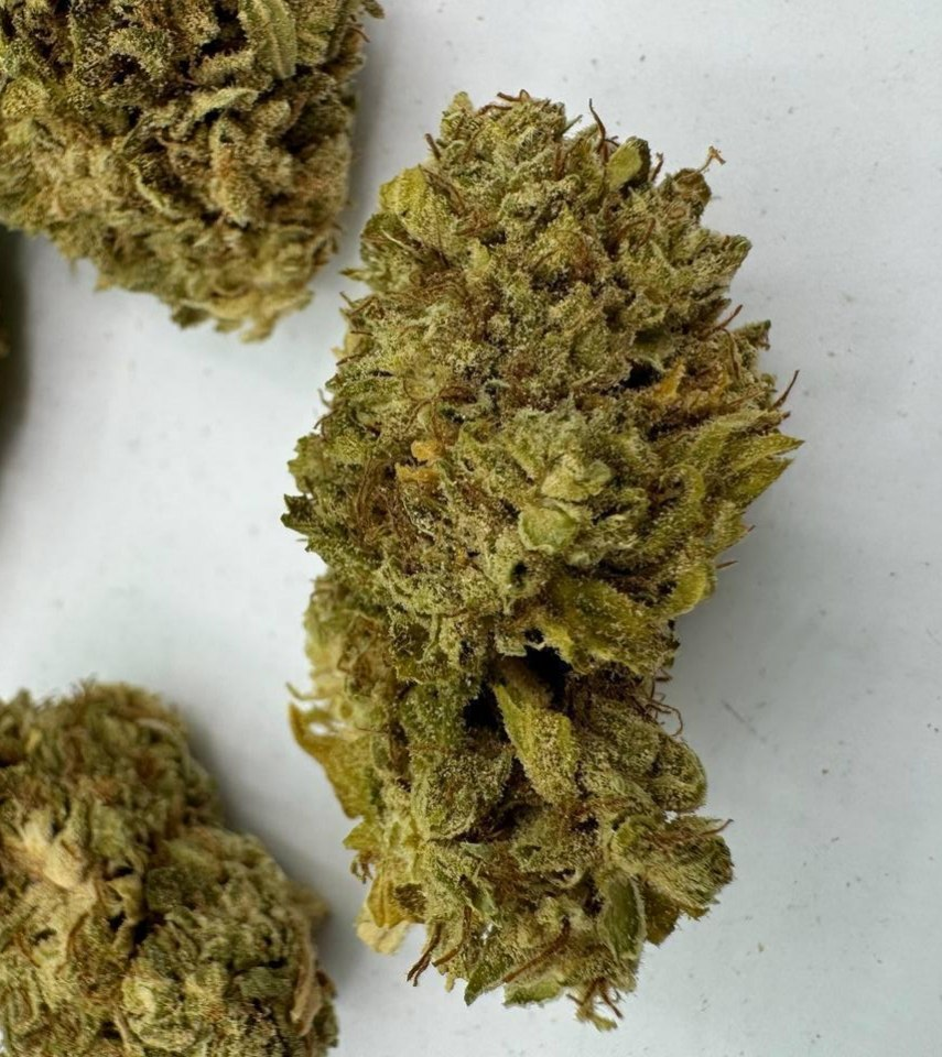 Zombie Kush