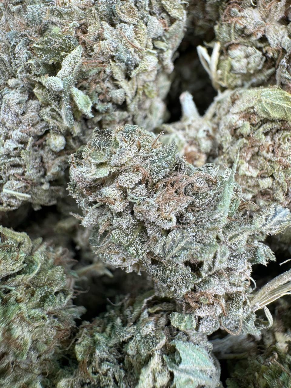 Zombie Kush detail view 2